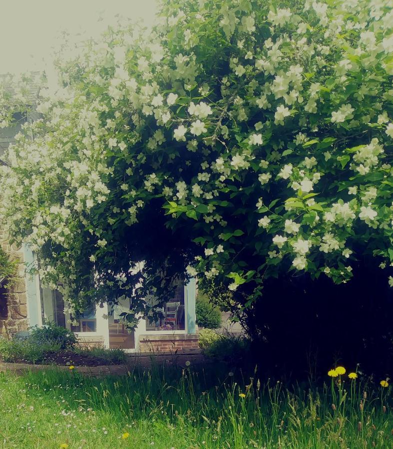 Maison Du Tertre Bed & Breakfast *